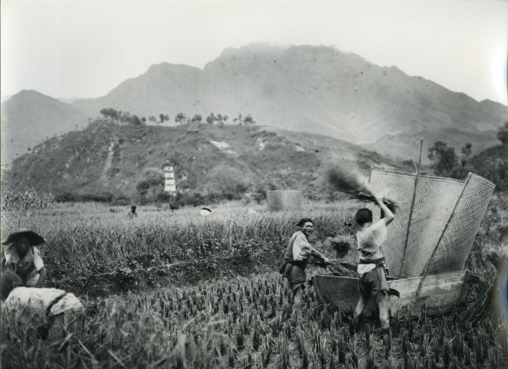 Ogni cosa è fotografata